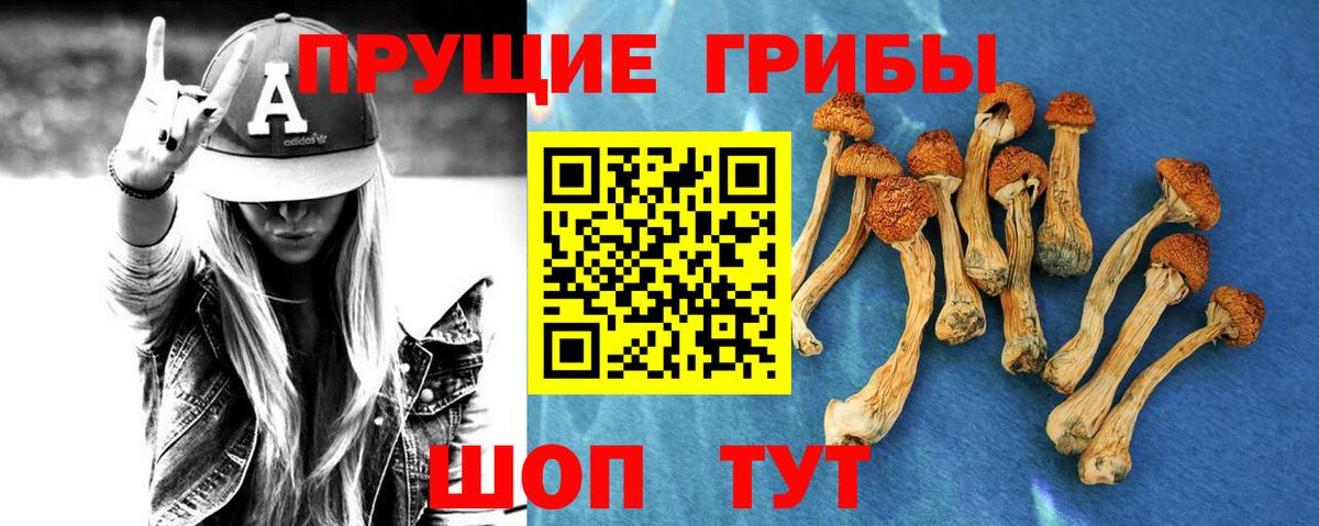 Псилоцибиновые грибы прущие грибы  Вход с VPN  Губкин 